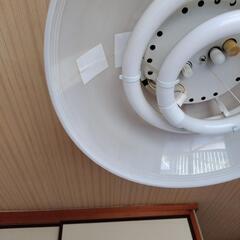 ⚠️10日迄。蛍光灯(LEDではありません) 定型文は❌の画像