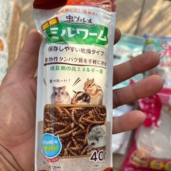 ハムスターセットの画像