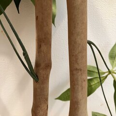 【取引中】フェイクグリーン　人工観葉植物の画像