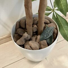 【取引中】フェイクグリーン　人工観葉植物の画像