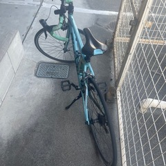 Bianchiビアニローネ7の画像
