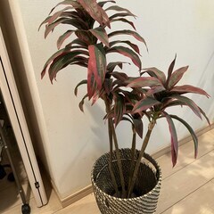 【取引中】フェイクグリーン(赤)　人工観葉植物の画像