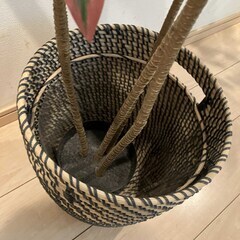 【取引中】フェイクグリーン(赤)　人工観葉植物の画像
