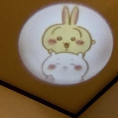 ハチワレ カメラ型ライト ちいか’わ 撮りま~すの画像