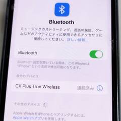 SENNHEISER CX Plus SE True Wireless/ワイヤレスイヤホンの画像