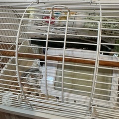 鳥かご セット の画像