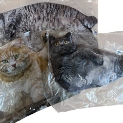 でぶ猫クッション2の画像