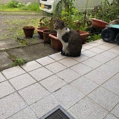 里親募集します - 山形市