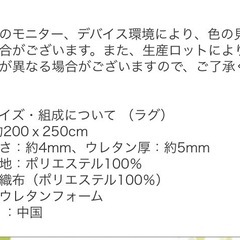 使用頻度少なめ！ラグマット3畳用の画像