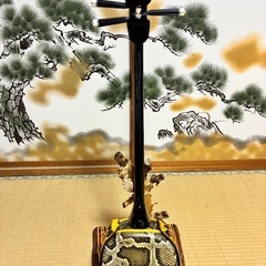 沖縄三線！貴重！知念大工型！本蛇皮！本張り！【一枚張り】⓭の画像