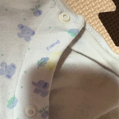 シャツの画像