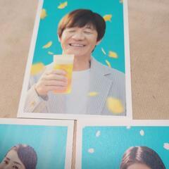 晴れ風 ポストカードの画像