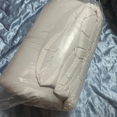 新品　未使用　ふとん　布団　クッション　2wayの画像