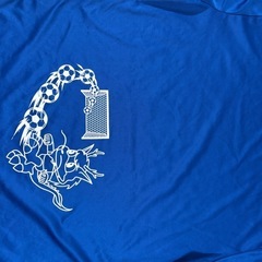 水戸ホーリーホックブルーミングTシャツ
の画像