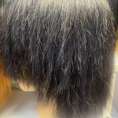 練習用カットウィッグの画像