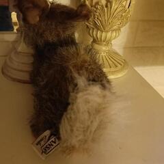 リアルなかわいい🐰さんの画像