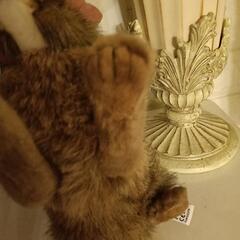 リアルなかわいい🐰さんの画像