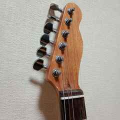 Telebird テレバード レアなファイアバード亜種 エレキギターの画像