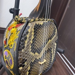 三線　黒木の画像