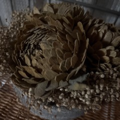 ドライフラワー　鉢植え飾りの画像
