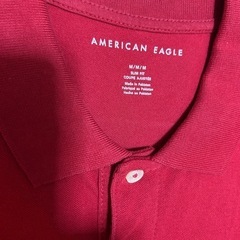 アメリカンイーグルの画像