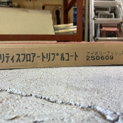 ベリティスフロア　トリプルコート　アイボリーアッシュ　1ケース　　　の画像
