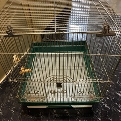 鳥かごの画像