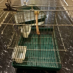 鳥かごの画像