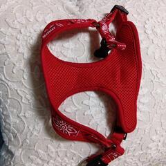３点　犬用の洋服などの画像