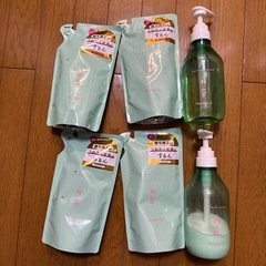 ナンバーエスシャンプーセットの画像