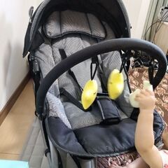 KATOJI　ベビーラックの画像