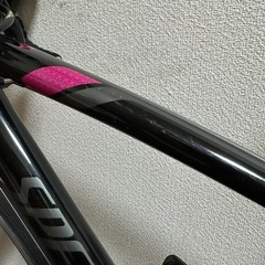 SPECIALIZED 2014年ドルチェエリートの画像