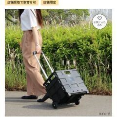 (決まりました)フォールディングキャリーカート ST05 ブラックの画像