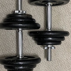 WFG(ワイルドフィット) ダンベル 片手20kg 2個セットの画像