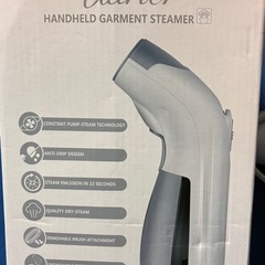 スチームアイロンの画像