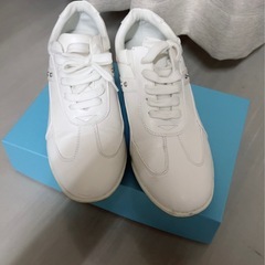 スニーカー23cmの画像