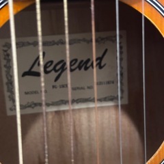 Legend by Aria アコースティックギター ハードケース付の画像