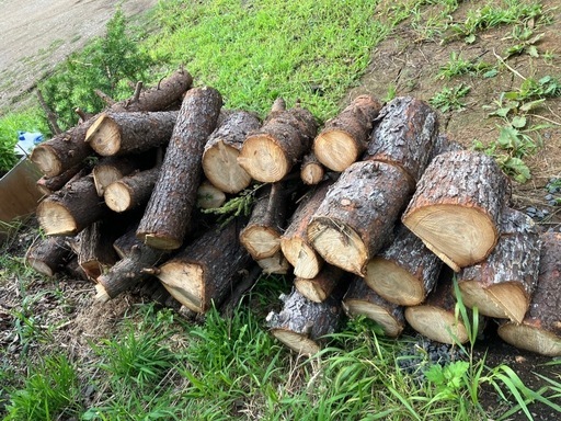 【商談中】薪　マツ　2.0㎥弱