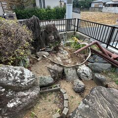 河津石　複数個