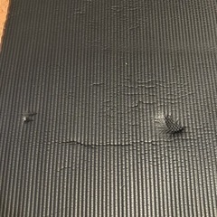 ジムマット　の画像