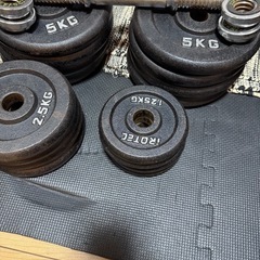 ダンベル60kgセット(30kg×2)　の画像