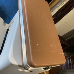 フェレットの毛皮？の画像