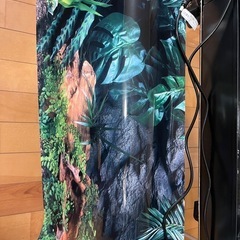 GEX  60cm水槽の画像