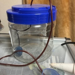 カメレオン飼育セットの画像
