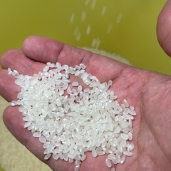 新米購入について