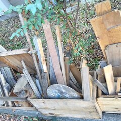 逗子 無料あげます 木片 木材 角材 キャンプファイアー 焚火 ソロキャンプ 材 構造材 内装材 建具 燃料 木炭 燃料 木箱 差し上げます 大木 彫刻 オブジェ 木像 木っ端 ウッド WOOD 暖炉 ストーブ 木工 家具 自然木 抜根 倒木 丸太 テーブル 作る 組み立て まき たきぎ 枝 伐採 固形 木質燃料 ボイラー BBQ バーベキュー 切り株 キャンプファイヤー 燃焼 荒材 桜 版画  薪  燃やす 日曜大工 工作 板材 板料 端材 DIY 棚材 角材 建築 ガーデン 木せん ブロック 建材 集の画像