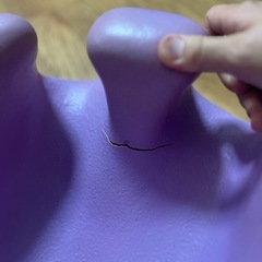 バンボの画像