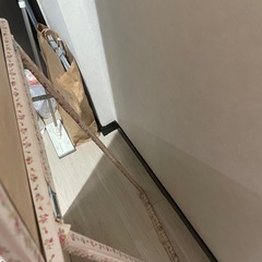全身鏡の画像