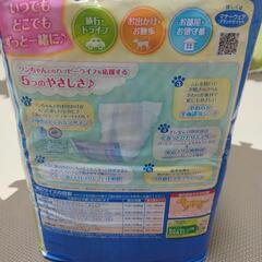 犬用おむつ　マナーウェアの画像