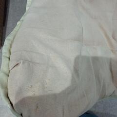 ニトリ　洗えるバタフライチェアの画像